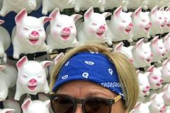 IMG_8675_bearbeitet-1