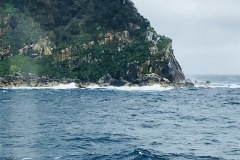 IMG_8487-photo-full-2