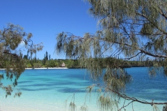 IMG_1309_bearbeitet-1