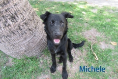 IMG_1302_bearbeitet-1