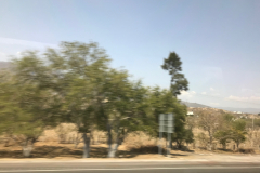 IMG_0610