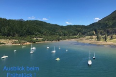 IMG_2201