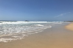 IMG_7474