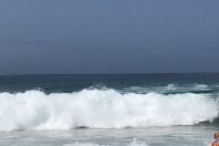IMG_8813