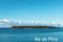 IMG_E9107-1-1